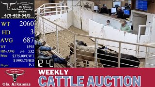 Central Arkansas Cattle Selling LIVE | Ola Livestock Auction | Jan 6, 2026