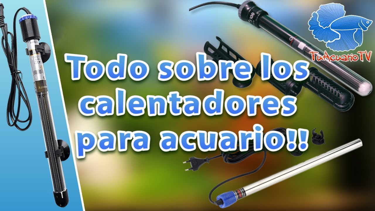 Calentador para acuarios peceras automático de 100 A 150 Litros calentar  agua