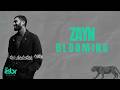 ZAYN Blooming Tradução PT BR 