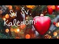 Su Šv. Kalėdomis! Dovanos .🎁 .2025.12.25. Merry Christmas! Gifts .🎁