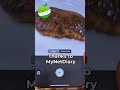 Stop guessing calories, use AI instead 🤯 Referral Code: HEALTHLOG ‪@MyNetDiary‬