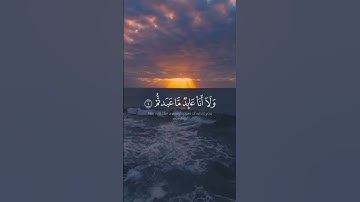 الشيخ/ قاسم فضائل - سورة الكافرون