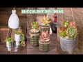 6 succulent diy ideas  plastic recycling ti ch chai nha trng sen     suculentas