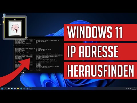 Windows 11: Ip Adresse Anzeigen | So Gehts!
