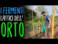 SAI COSA SONO LE MICORRIZE?