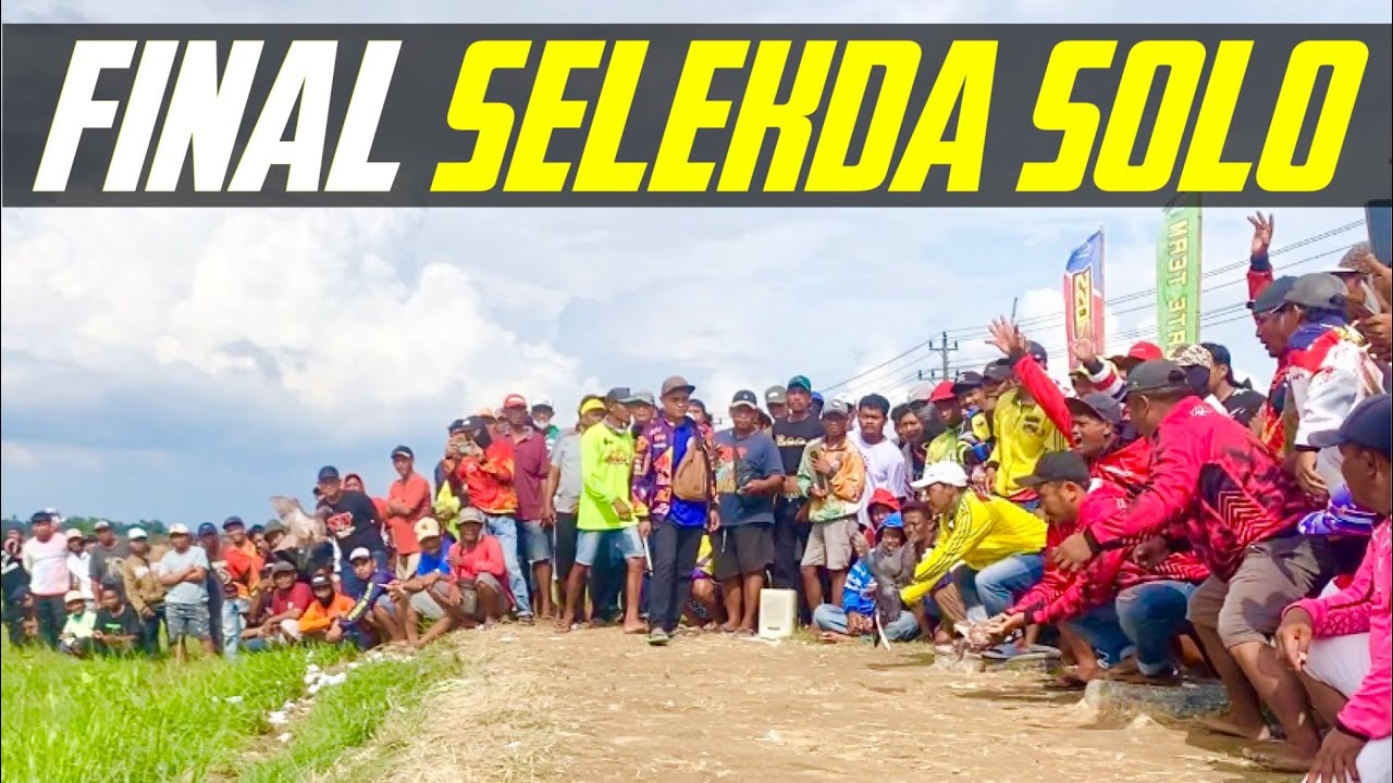 FINAL LOMBA SELELDA  SOLO 2025