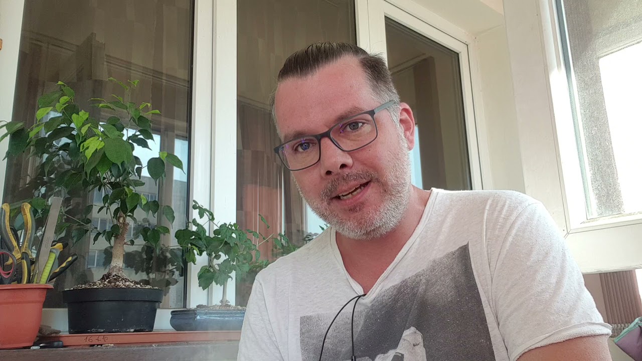 Toamna la bonsai - sep 2021