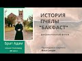 Монах и пчелы. Брат Адам. История пчелы Бакфаст (фильм полностью)