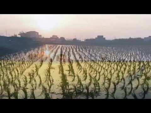 媽媽請你也保重