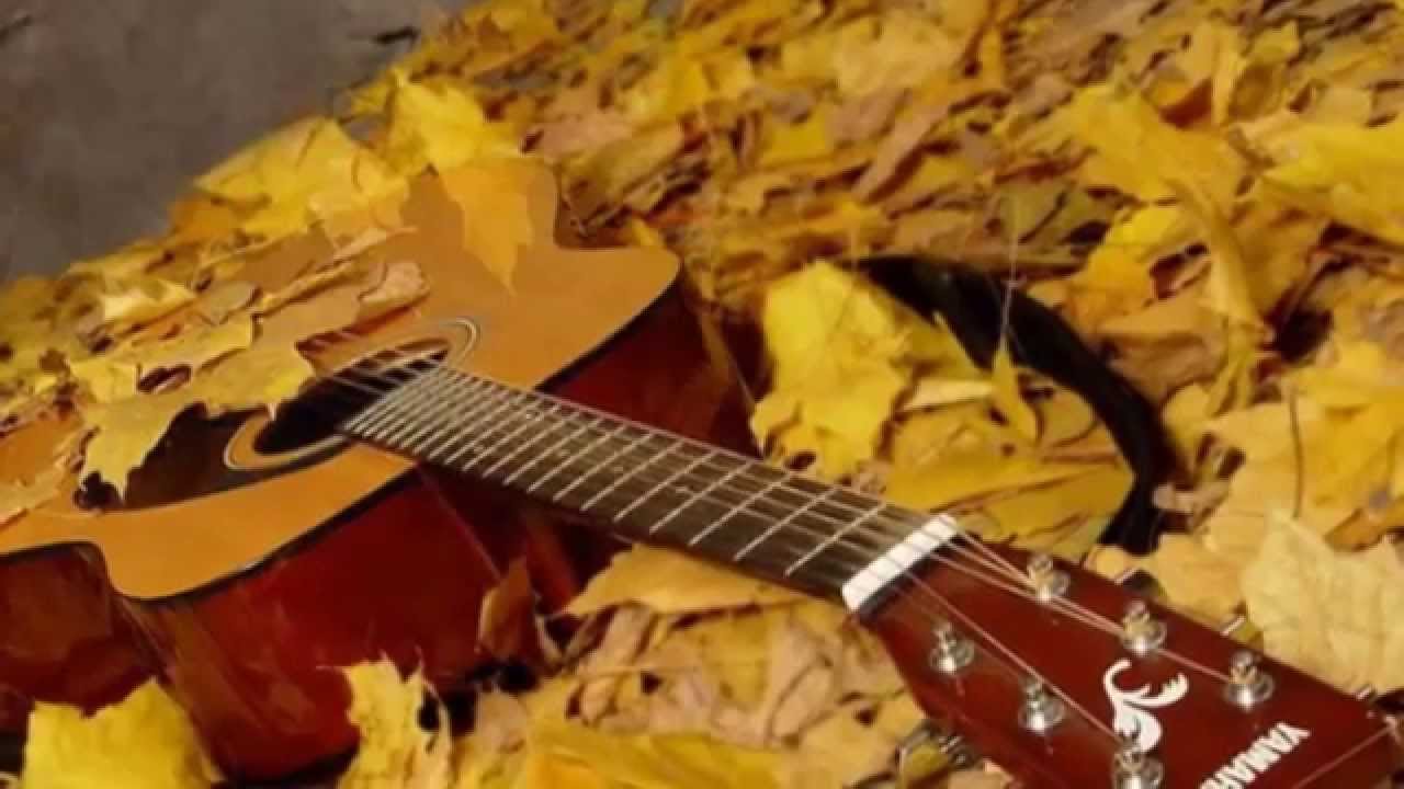 Осенний сентябрь песня. Гитара в осенних листьях. Гитара осень листья. Гитара в осеннем лесу. Электрогитара в осенних листьях.