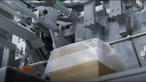 BI25 Bag Inserter by Pearson Packaging Systems