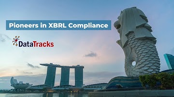 XBRL Preparation Services for ACRA filing by DataTracks