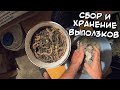 Как собирать и хранить выползков