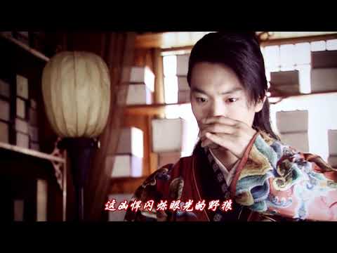 乱世巨星--赵鸿飞--木郎神君