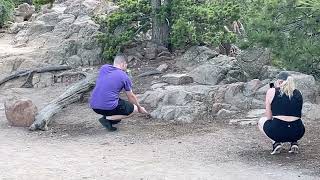IMG 4575