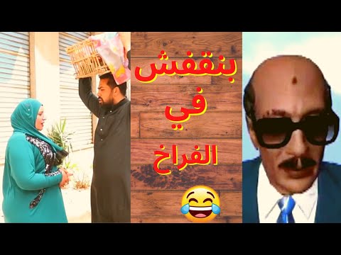 فيلم قصير يجيب البواســــير ام شهد وبتاع الفراخ سادات مصر 