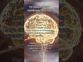 Не говори “надо” — переформатируй свой мозг #духовноепробуждение #энергия #изобилие