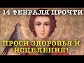 ВСЕГО 30 СЕКУНД! ПРОСИТЕ ЗДОРОВЬЯ, ИСЦЕЛЕНИЯ СЕЙЧАС! 14 февраля - СВЯТОЙ МУЧЕНИК ТРИФОН