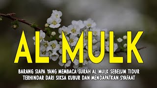 MUROTTAL MERDU SURAH AL MULK PENYEJUK HATI SURAH AL MULK FULL, TERHINDAR DARI SIKSA KUBUR