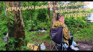 🌄🎣  РЫБАЛКА С НОЧЕВКОЙ В ИЮНЕ   🐊🏕️🌲龙在路上