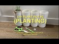 DIY Plant Pot #3 (Planting)🪴自制花盆 (种植) - links under description for DIY plant pot videos