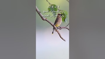 تلاوة جميلة خاشعة تذهب بك إلى عالم أخر/طبيعة وطيور(لا إله إلا الله محمد رسول الله)🤍