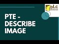PTE Describe Image Exam Repeated Prediction ► ► July 2022 ll Blossom Learning Centre