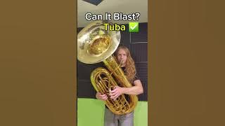 Can it blast? #music #brass #challenge #fyp #band #musician #Tuba #flute #helicon
