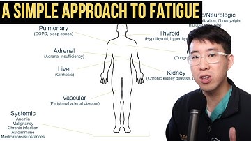 How to Evaluate Fatigue