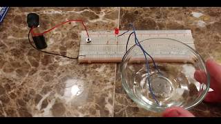 PK 101 Experiment 7