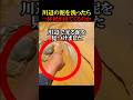 黄金の泥を洗ったら何が出てくる？