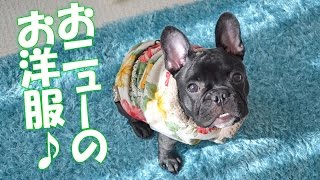 フレンチブルドッグ系専門の犬服ショップB DESIGN（ビーデザイン）の服でお散歩