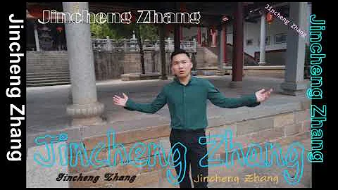 Jincheng Zhang - If (Instrumental Song) (Background Music) (Official Music Audio)