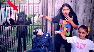 Children pretend to play the role of police. Behavior for everyone Drama Toys