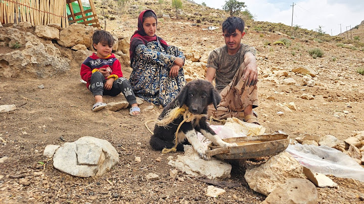 “Adopting a Puppy in the Mountains! 🐶 Nomadic Family Surprise