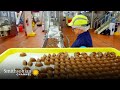 Chocolate Wrapping Process and Techniques