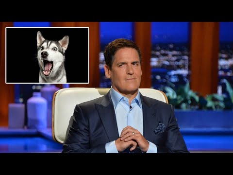 Mark Cuban invests in vegan dog food company Wild Earth