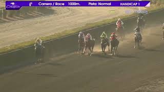 Vidéo de la course PMU INIKI