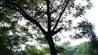 Biar aku yang pergi(Aldy Maldini cover by Misellia ikwan)