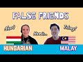 Hungarian-Malay False Friends | AKAR, HAMIS, TOLONG!