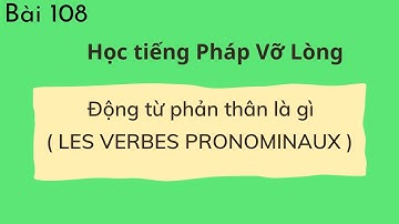 Bài 108 - Tự học tiếng Pháp Vỡ Lòng - Động từ phản thân là gì ( LES  VERBES  PRONOMINAUX )