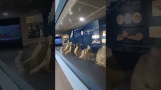 부산해양자연사박물관 영상