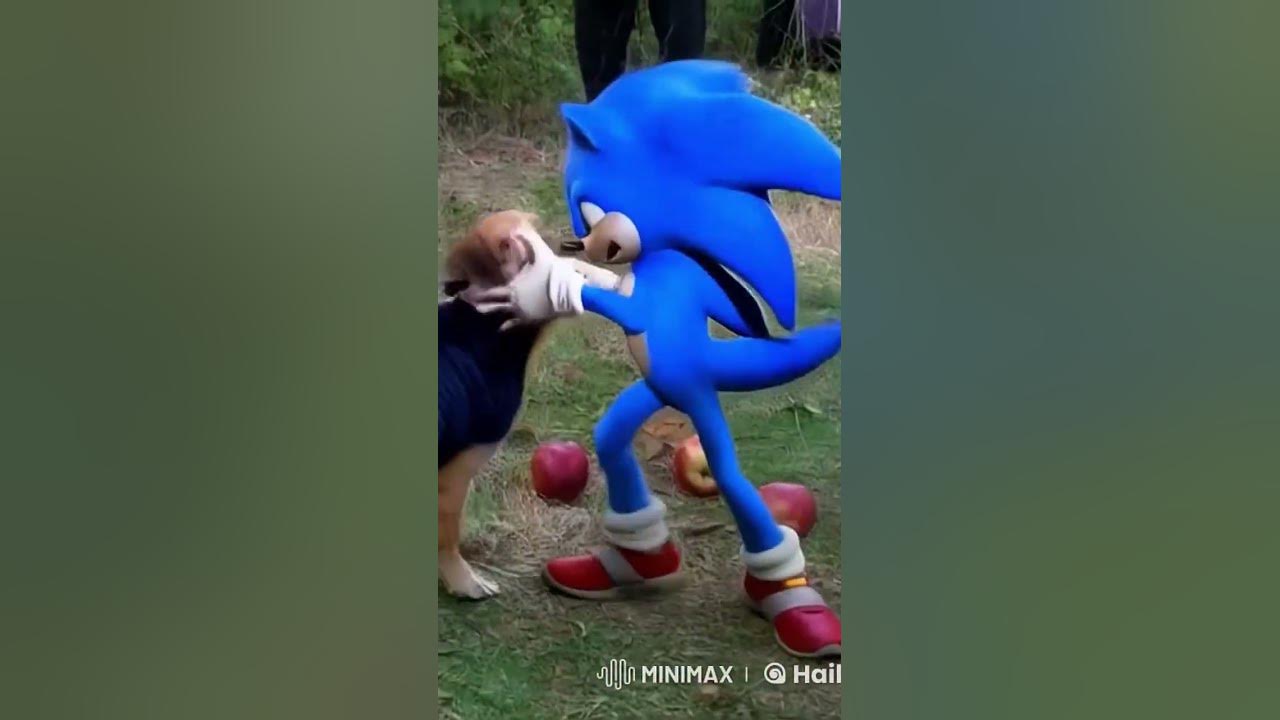 Sonic Steals the Chaos Emerald from Apple Dog! πΆππ¨ #sonic3 #shorts #4k Sonic Steals the Chaos Emerald from Apple Dog! πΆππ¨ #sonic3 #shorts #4k