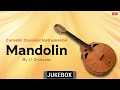 Carnatic classical instrumental  pancharatna krithis trio mandolin  by u srinivas