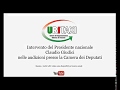 Giudici Camera Deputati 16 1 19