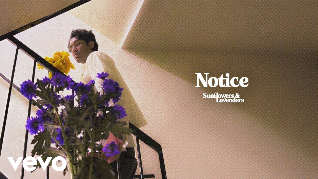 DEIP - Notice (Official Trailer)