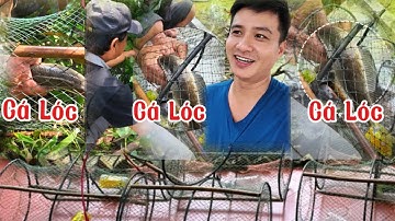 Rủ Chú Út Thăm Lờ Cải Tiến Dính Toàn Cá Lóc | DMT