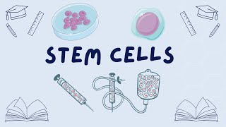 Stem Cells GCSE Biology (9-1) | Quick Learning | Education Always