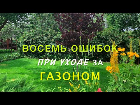 Видео: Советы по весеннему уходу за газоном: оживите свой двор