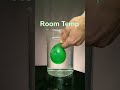 Epic Water Balloon Diffusion Experiment π